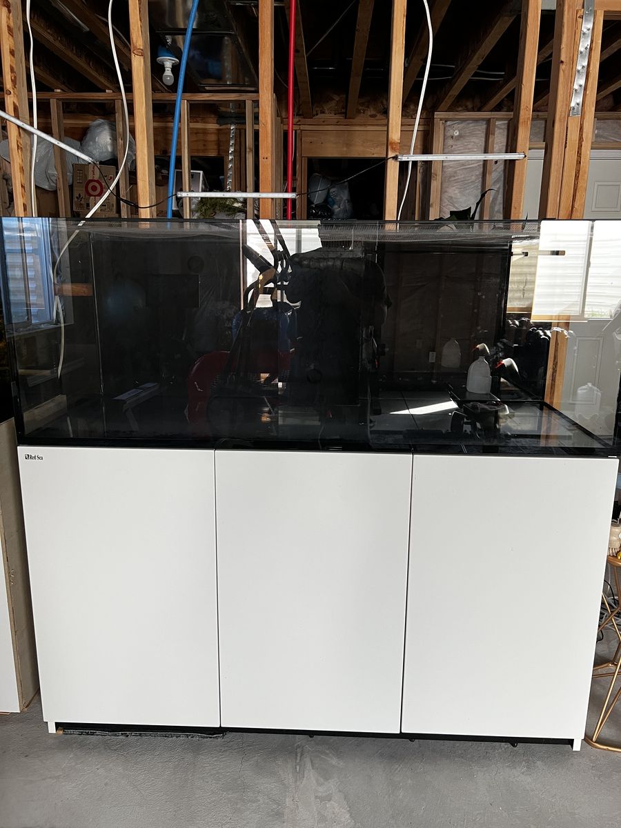 Red sea reefer 525XL