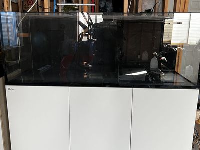 Red sea reefer 525XL