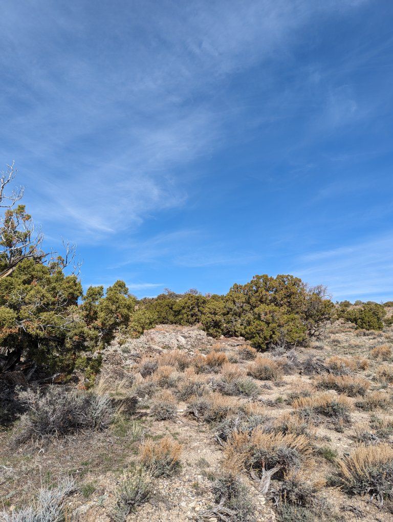 Main image 6