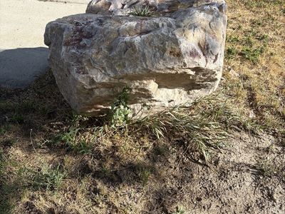 Huge landscaping Boulder (with hole for flag)