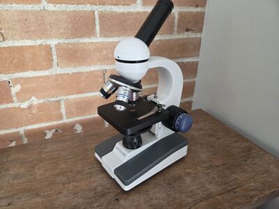 Microscope and Slides