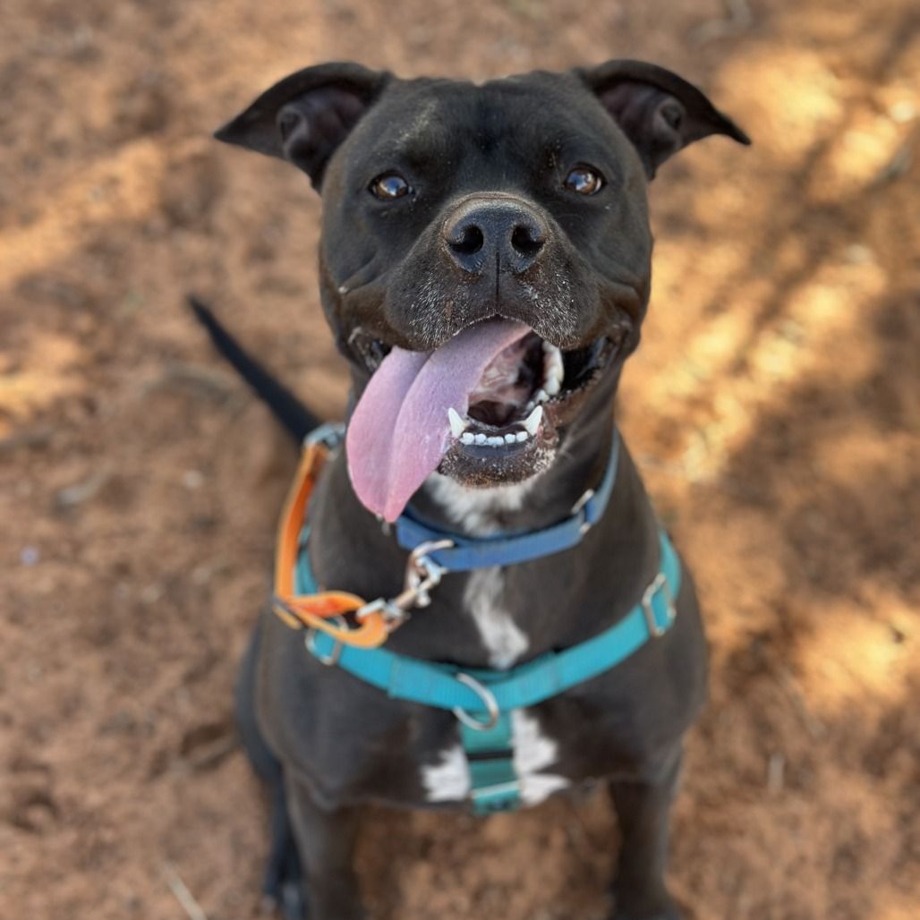 Hello my name is Smiles