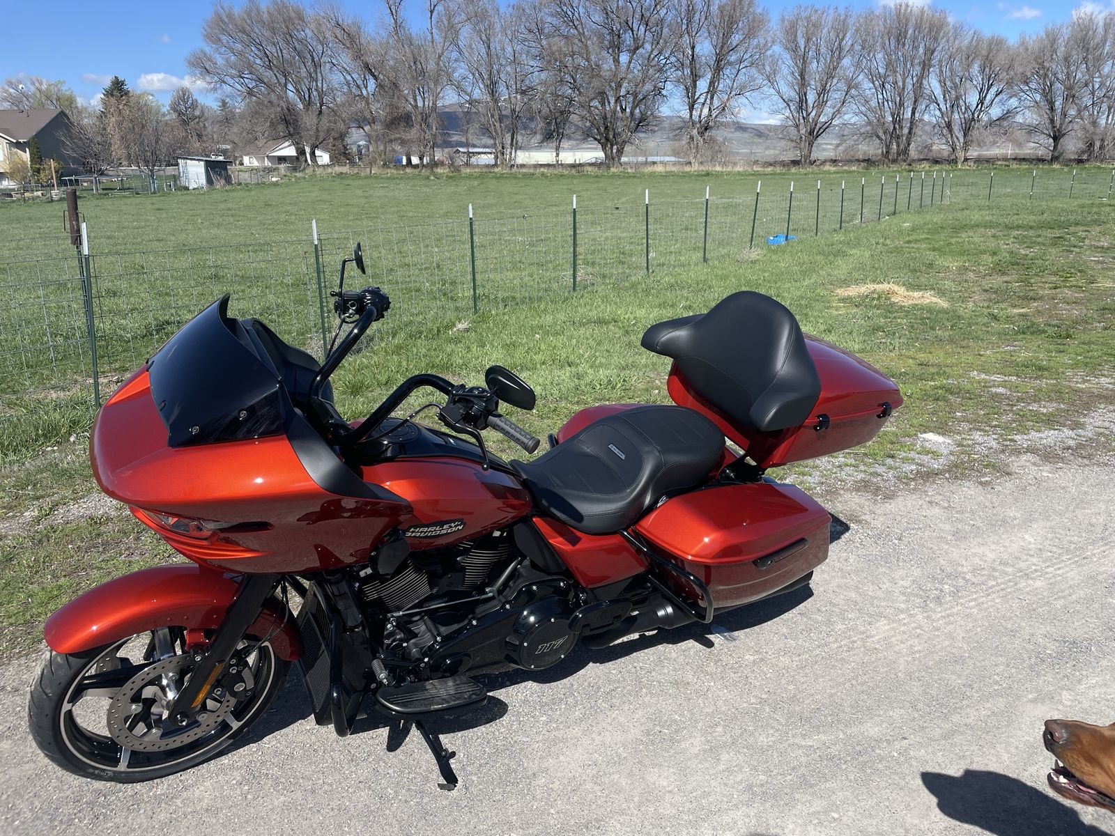 Harley 