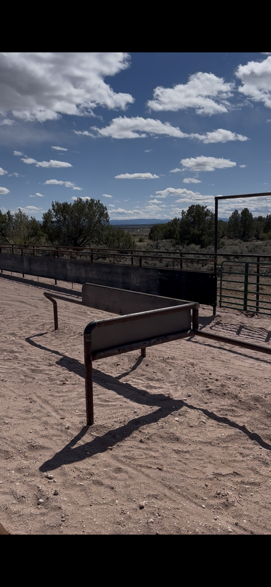 Main image 6
