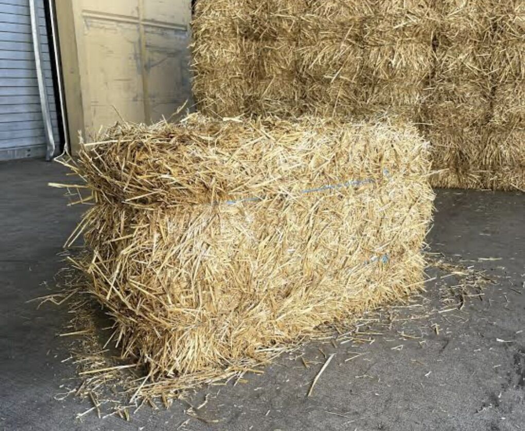 Small Straw Bales
