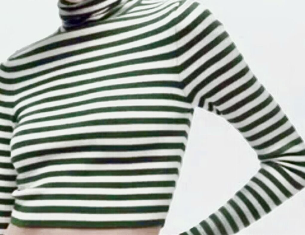 Zara Green and White Striped Crop Turtleneck Shirt - Size Large
