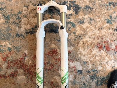 Rockshox Reba 100mm 29er fork