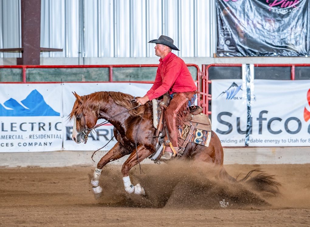NRCHA Incentive Stallion