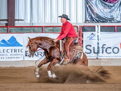 NRCHA Incentive Stallion