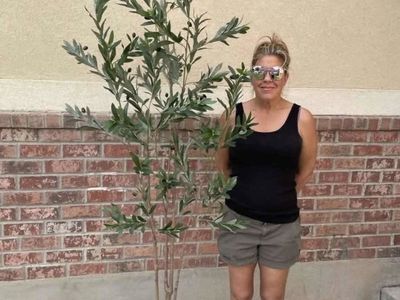 New. Nearly natural 7 foot olive tree. White pot not included. It does come with a black pot.