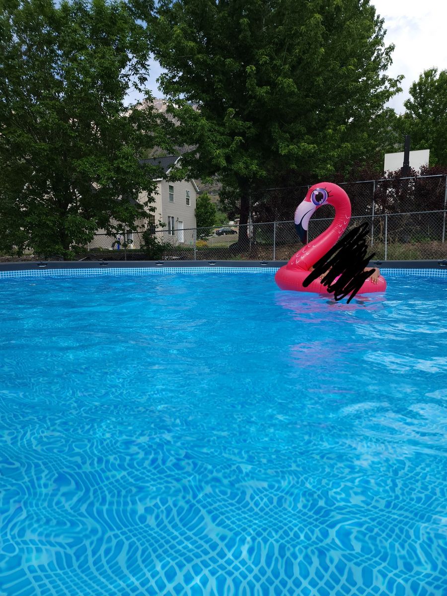 24x52 above Ground Pool