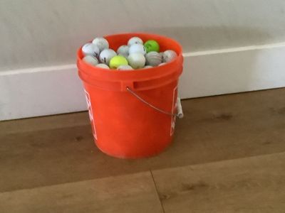 Used Golf Balls (bucket not included)