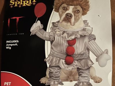 Pennywise Clown Dog Costume