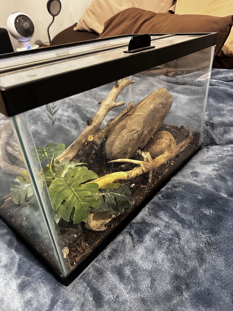 5 gallon Glass Terrarium Enclosure with hinged Top, Rocks, & Branches