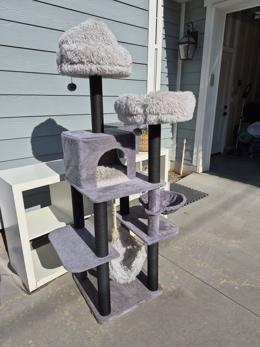 Cat Tower (purchased from Costco)