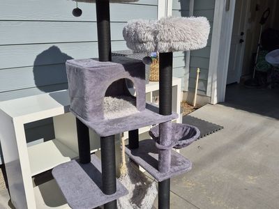 Cat Tower (purchased from Costco)