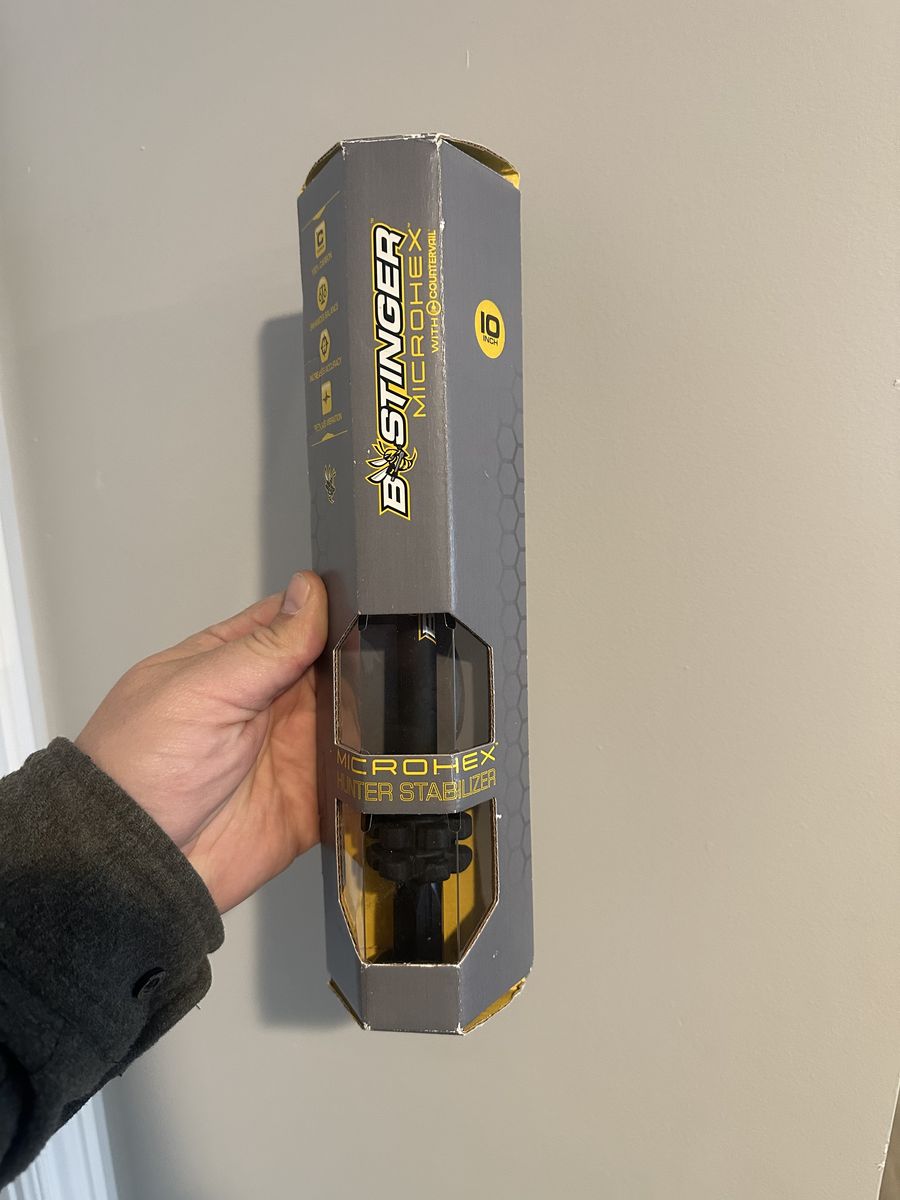 B Stinger 10 Inch Black