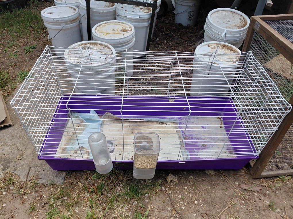 Rabbit Guinea Pig Cage