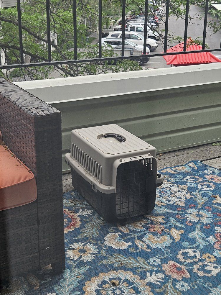 Small Carry Crate