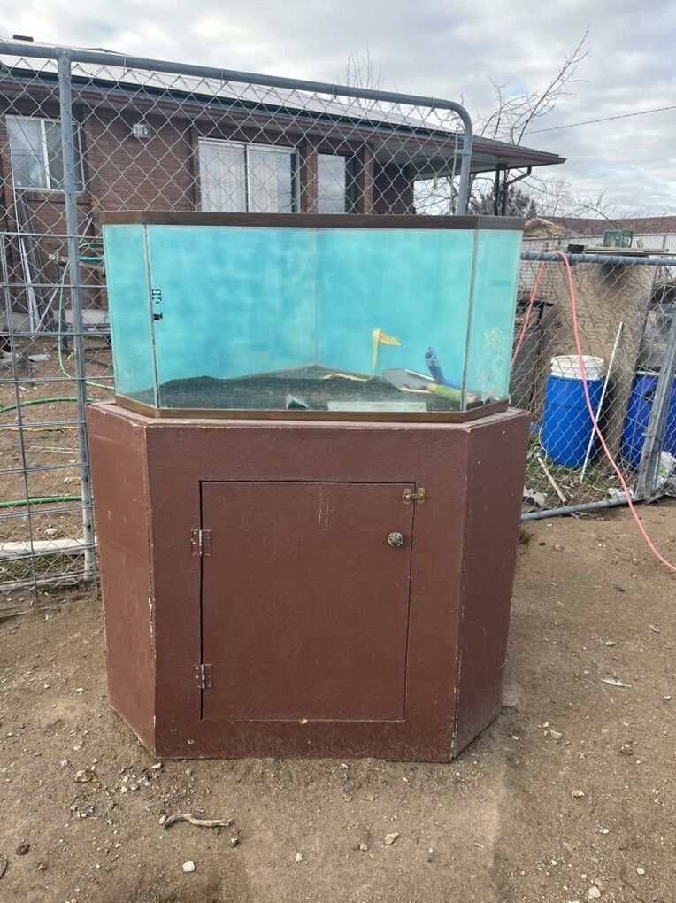 Larger Tank (55g?) Obo