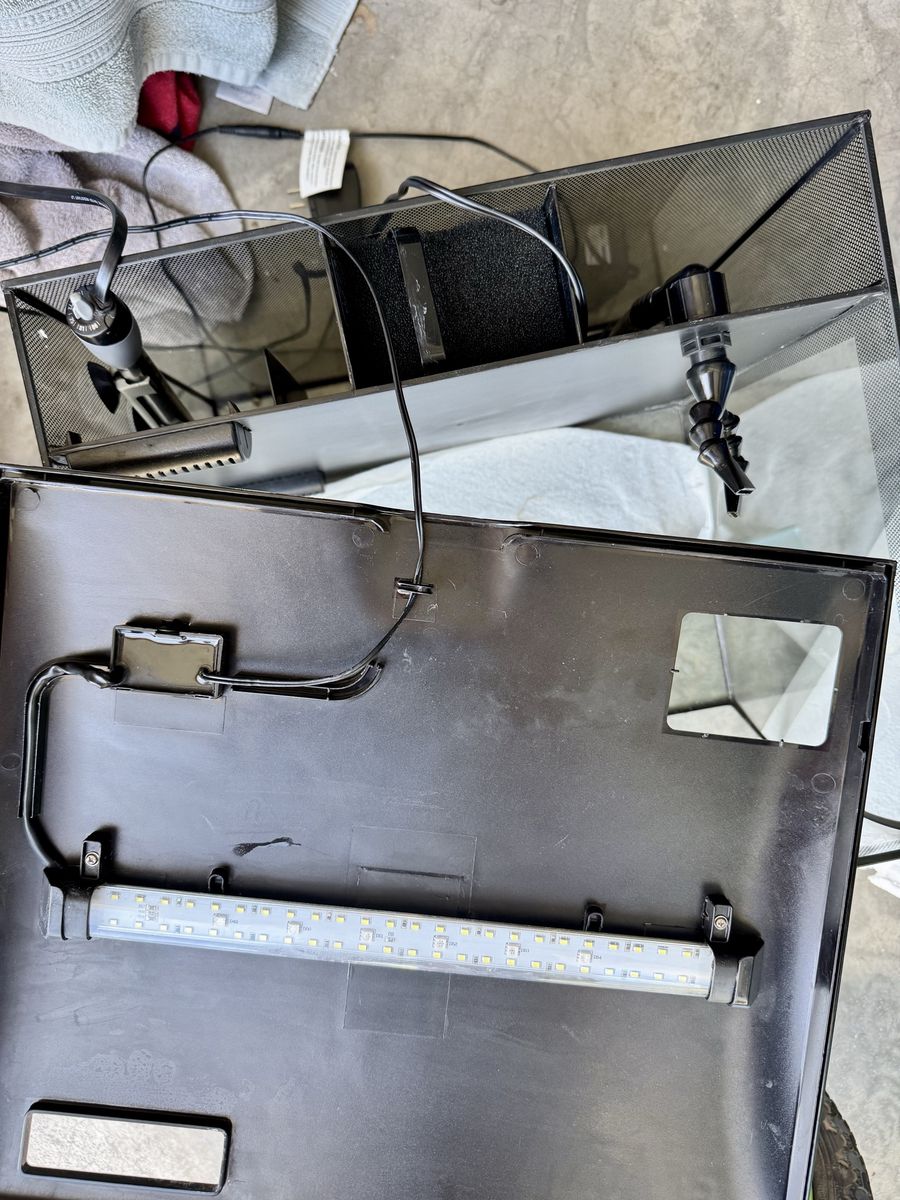 Main image 8