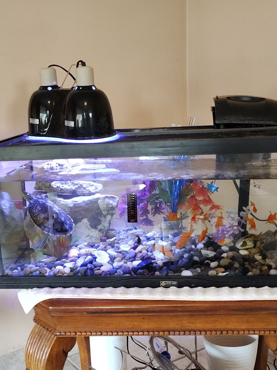 Fish tank 20 galones