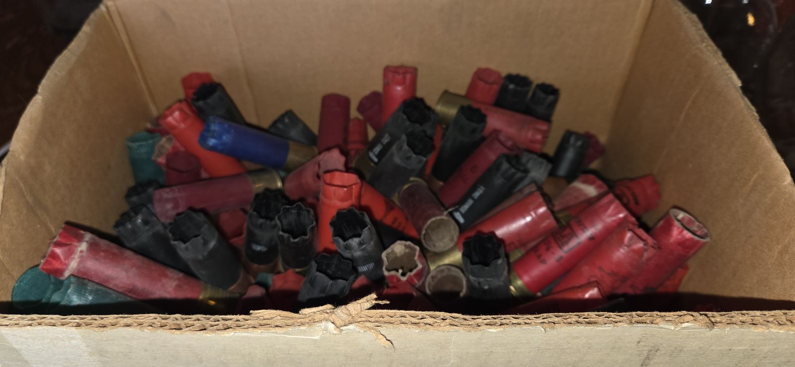 Empty shells and shot