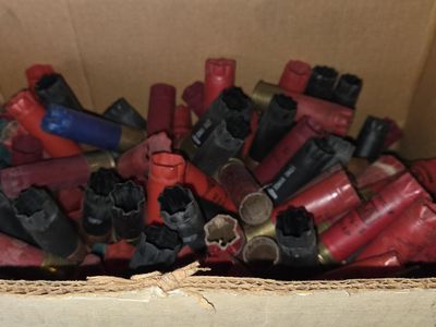 Empty shells and shot