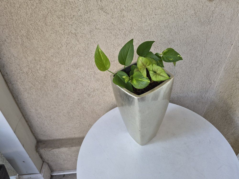 Main image 6