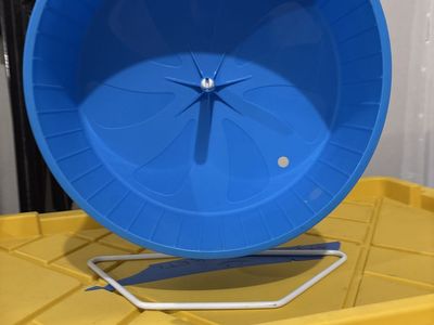 Clean Hamster or Rat large wheel