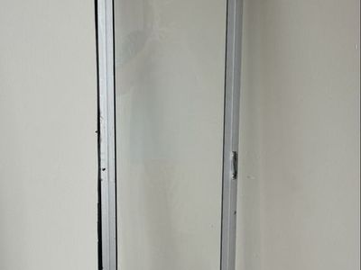 Doggy door insert