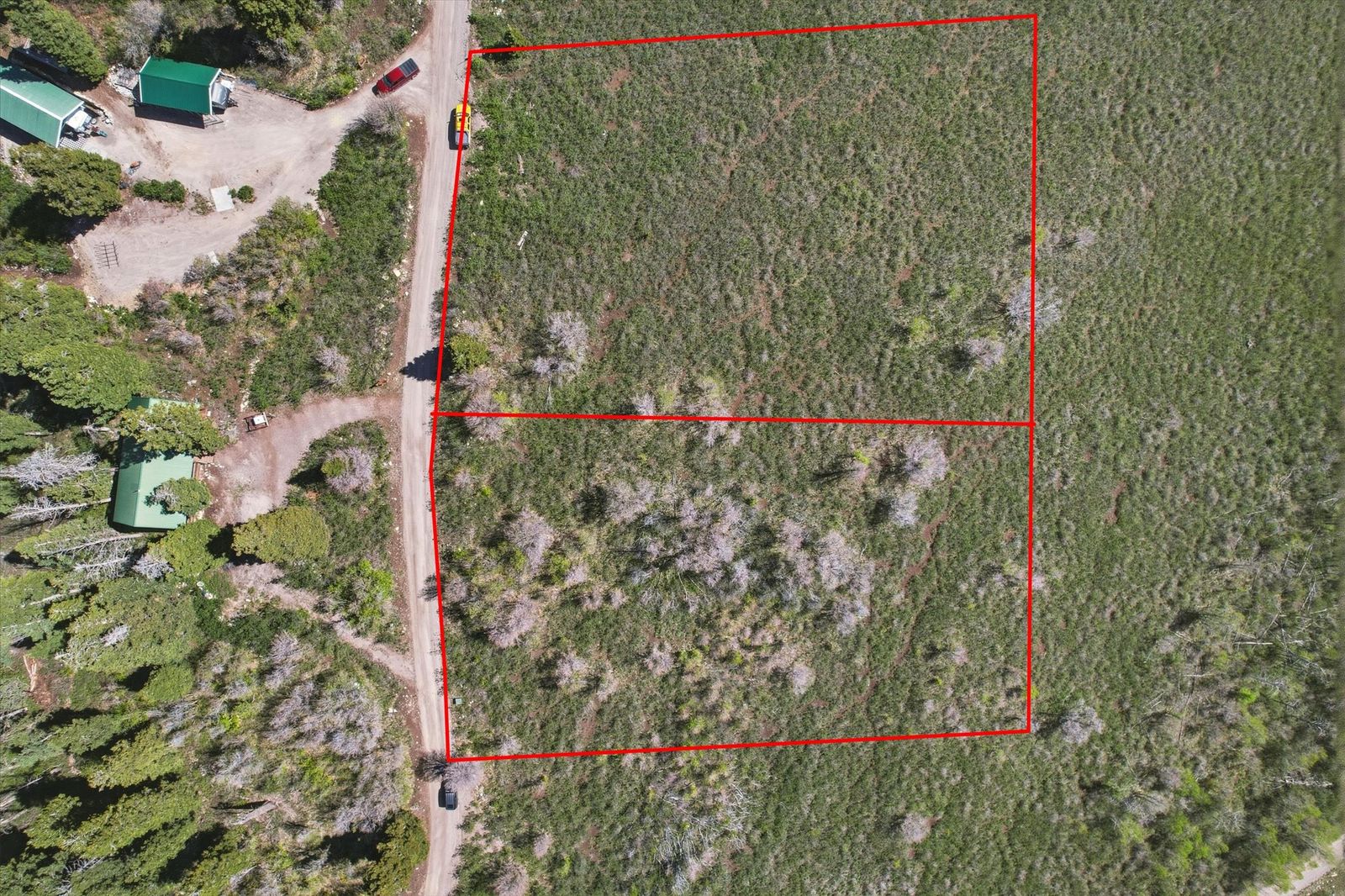 Main image 11