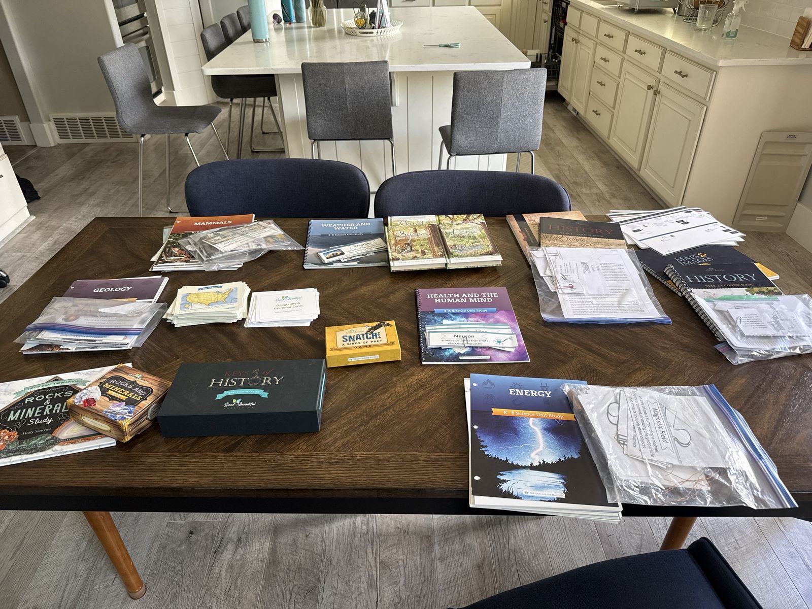 The Good and the Beautiful Homeschool Curriculum Lot Books Science History