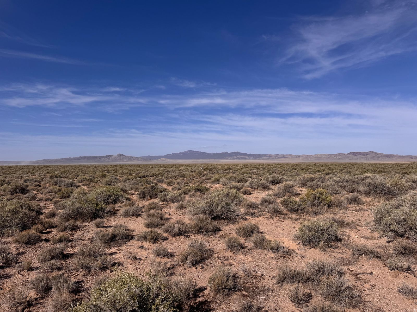 Main image 9