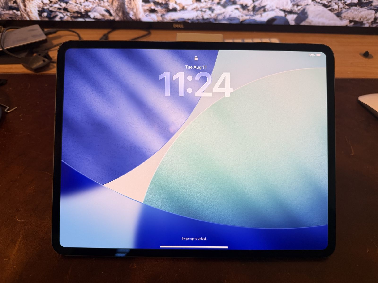 13 iPad Pro M4 1TB Cellular + Nano Texture