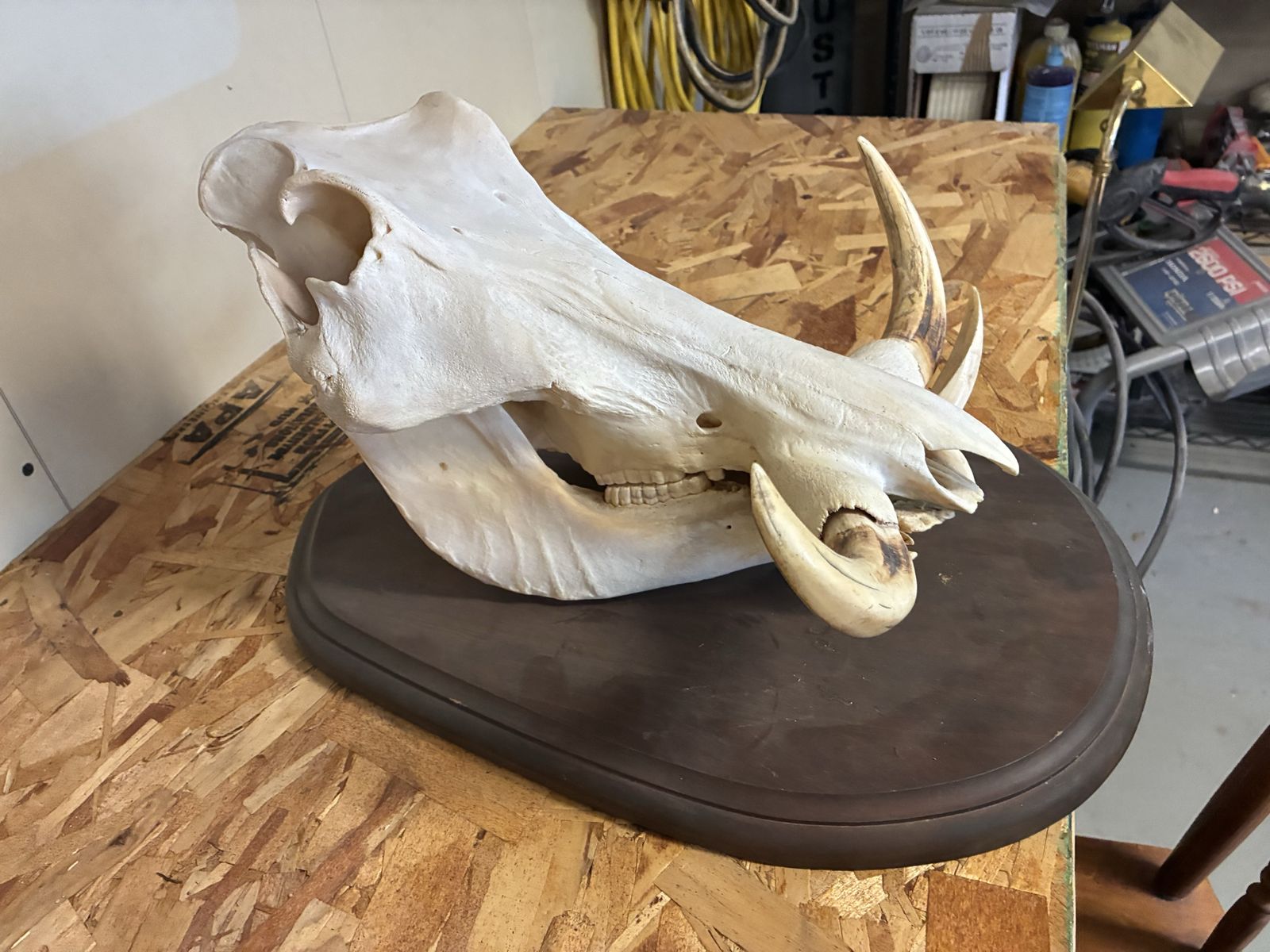 Main image 2