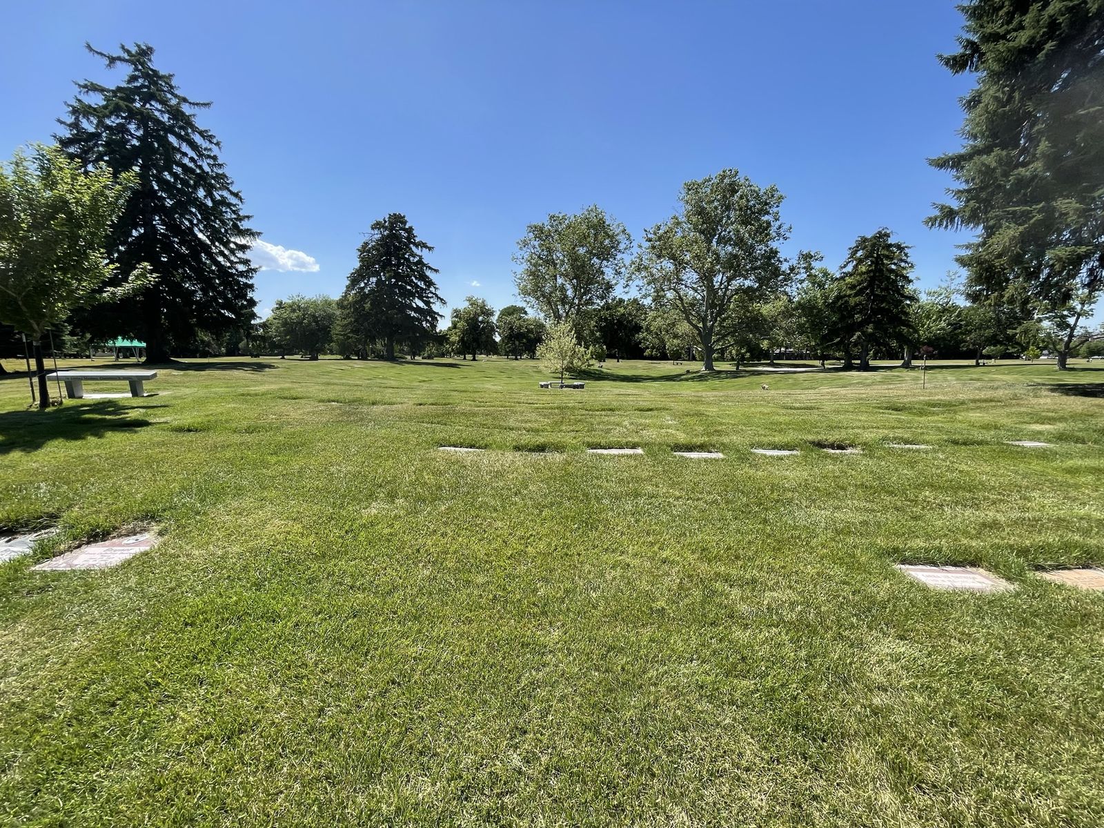 Main image 7