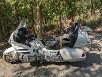 2008 Honda Goldwing (NAVI)