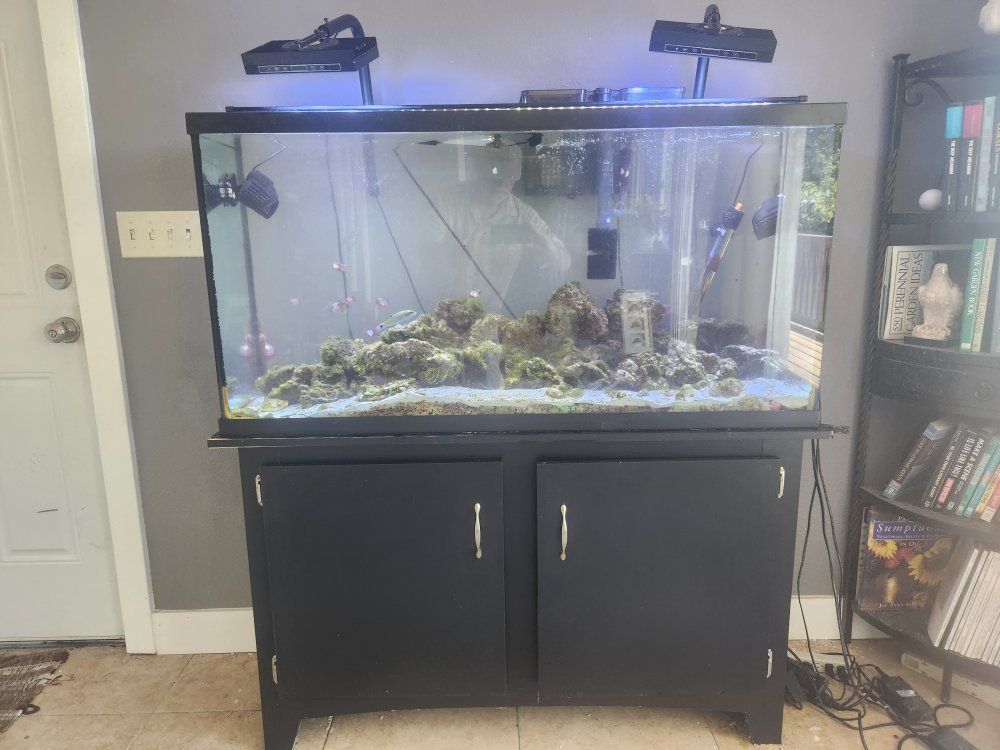 Glass Aquarium Setup with Wooden Stand, LED Lights, and Filter