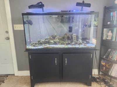 Glass Aquarium Setup with Wooden Stand, LED Lights, and Filter