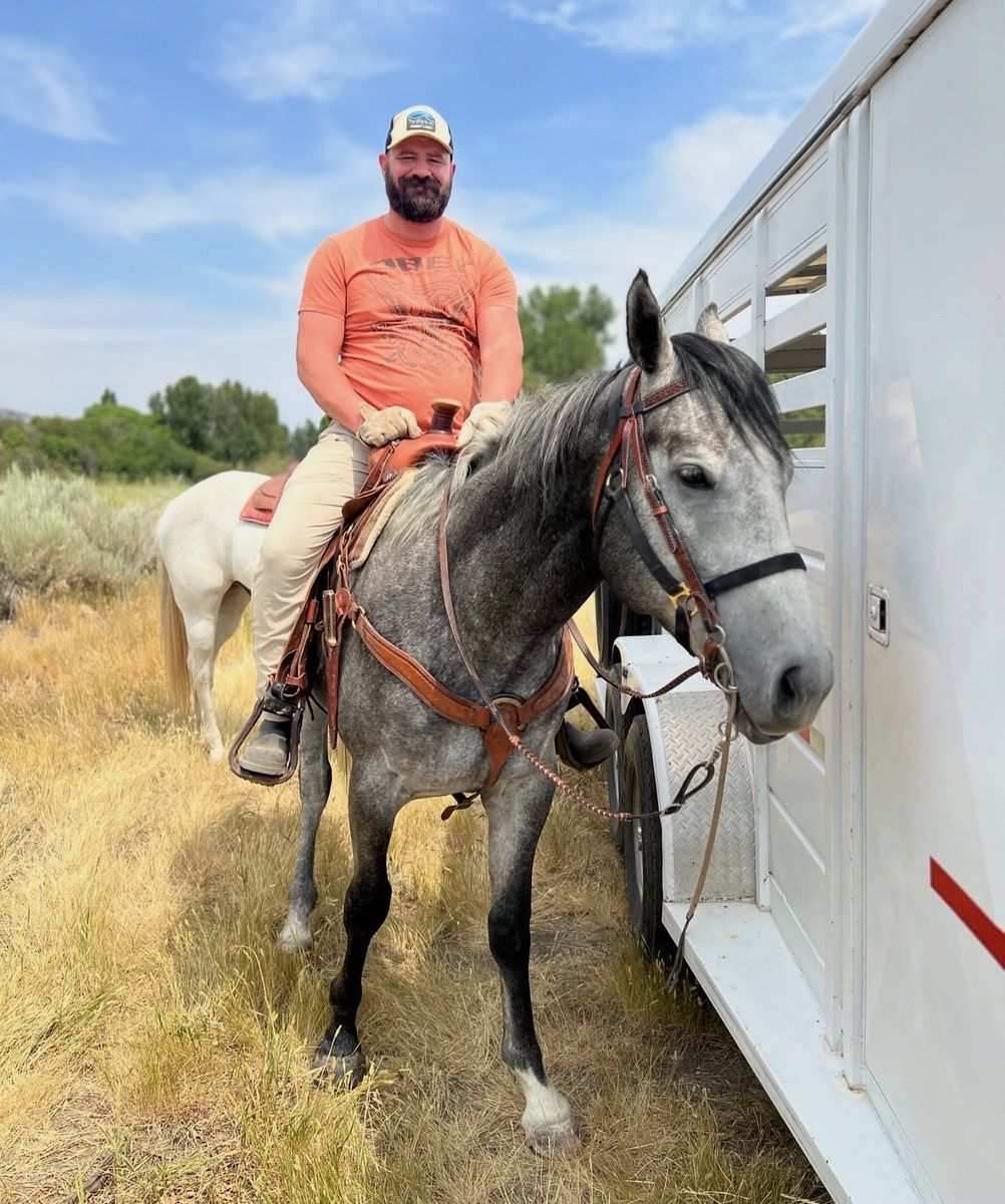 FOR SALE: 17-17.1 HH Thoroughbred Gelding