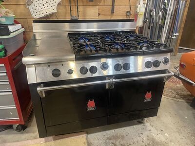 48 Wolf Residential Propane Range