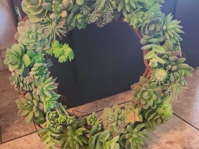 Succulent wreath