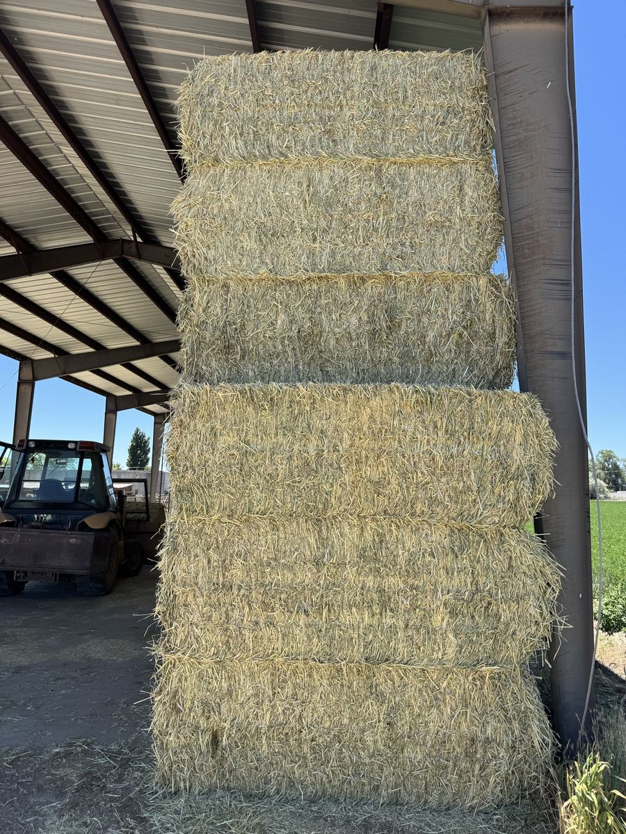 3-3-8 Oat bales