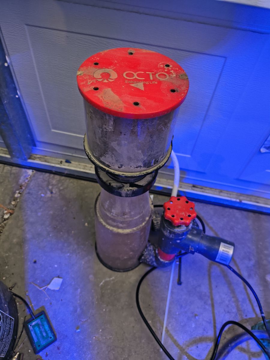 Reef Octopus Protein Skimmer