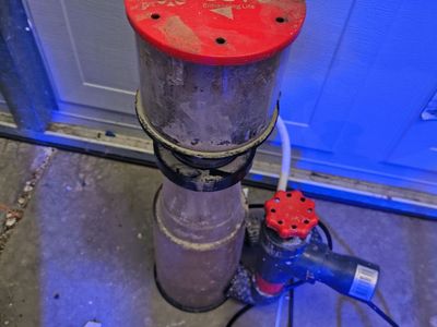 Reef Octopus Protein Skimmer