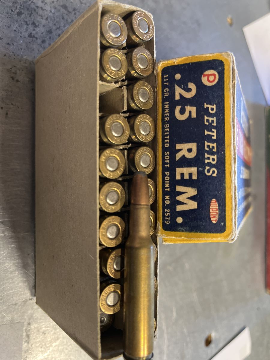 25 Remington Ammo.