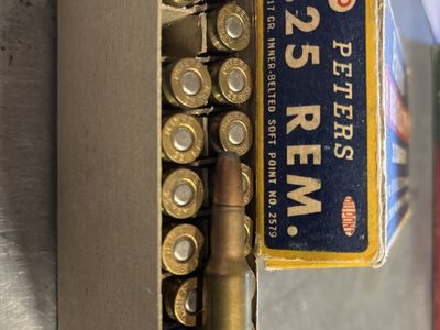 25 Remington Ammo.