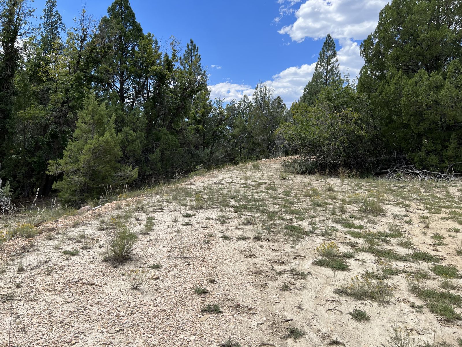 Main image 11