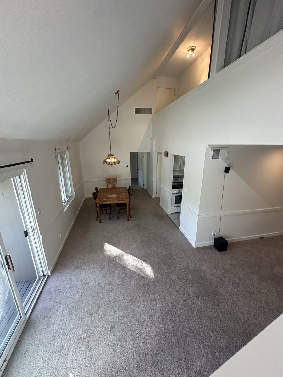 Main image 5